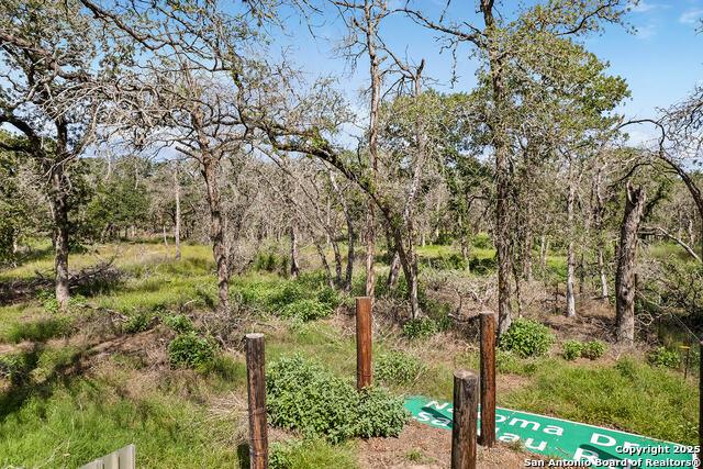 Image 37 of 48 For 1040 Wild Flower