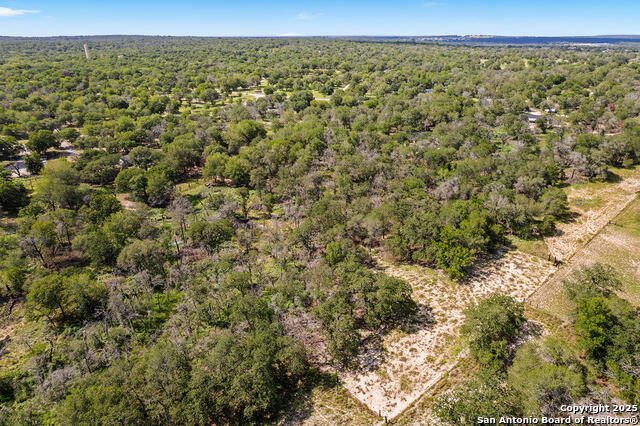 Image 38 of 48 For 1040 Wild Flower