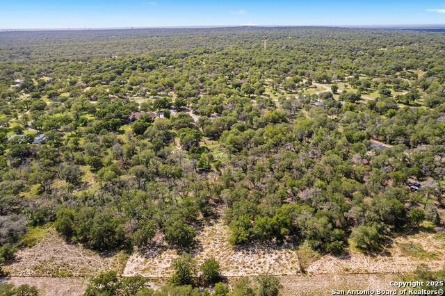 Image 40 of 48 For 1040 Wild Flower
