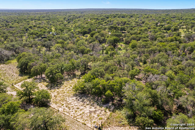 Image 42 of 48 For 1040 Wild Flower