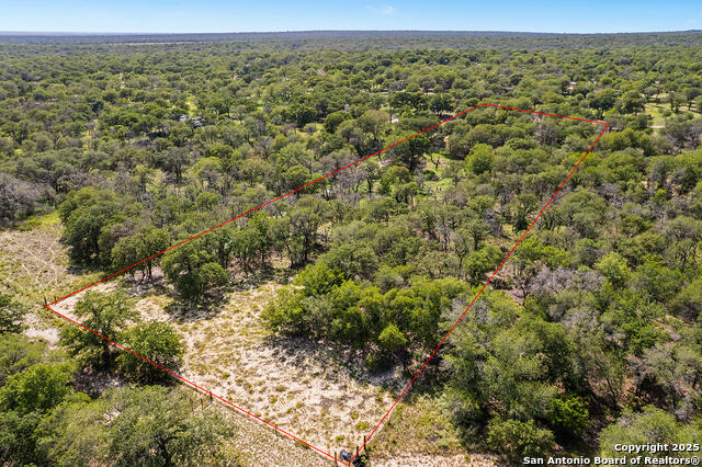 Image 43 of 48 For 1040 Wild Flower
