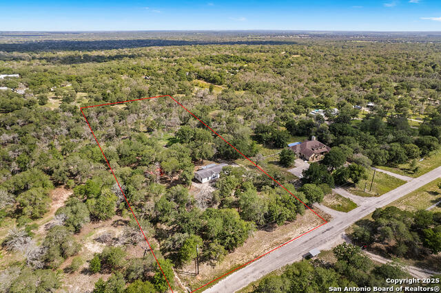 Image 45 of 48 For 1040 Wild Flower