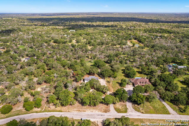 Image 46 of 48 For 1040 Wild Flower