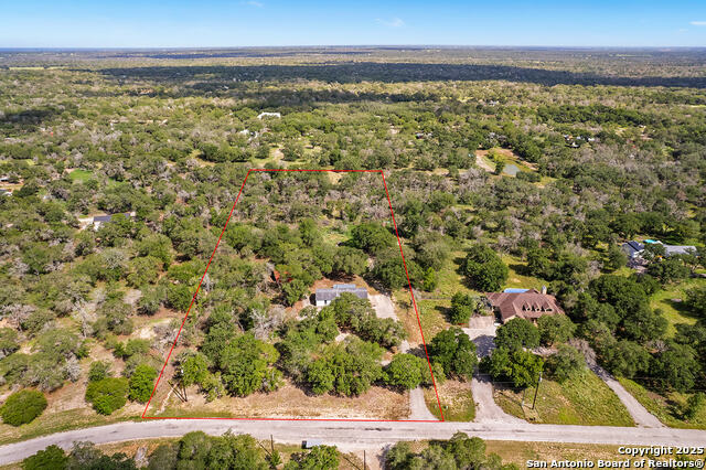 Image 47 of 48 For 1040 Wild Flower