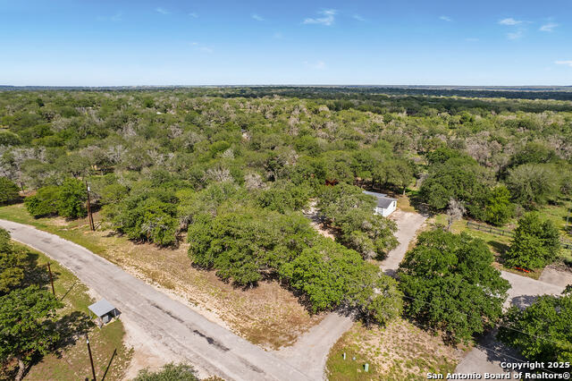 Image 48 of 48 For 1040 Wild Flower