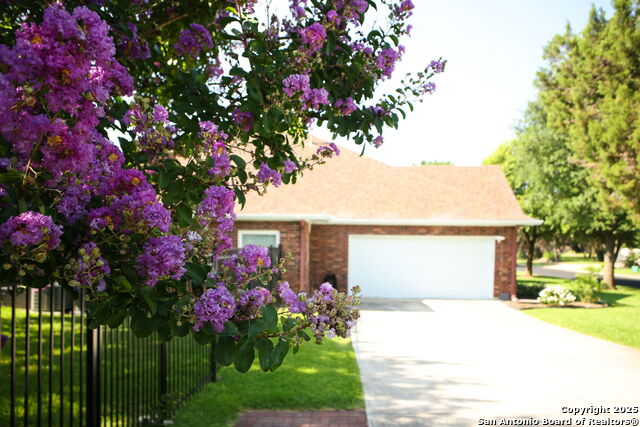Image 42 of 47 For 26308 Reyglen