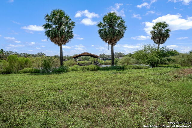 Listing photo id 35 for 1551 Windy Knoll N