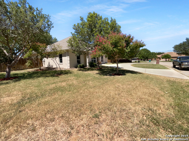 Image 10 of 25 For 2203 Geneva St