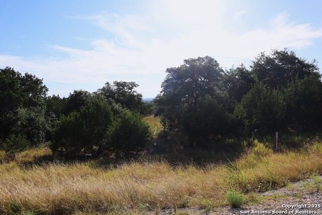 Image 10 of 42 For Lot 418 Palomino Springs