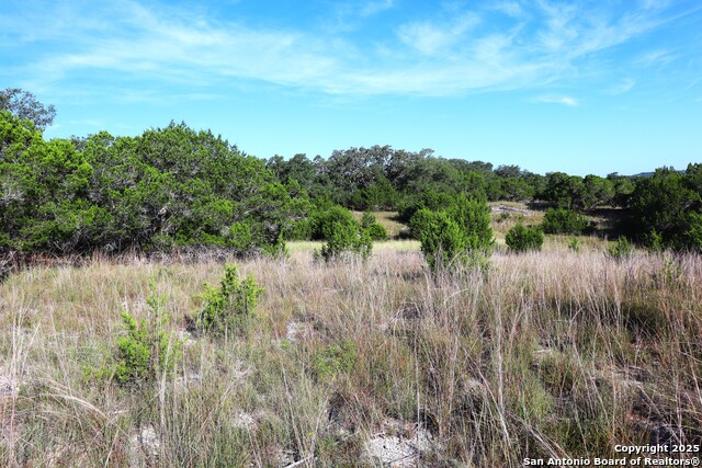 Image 11 of 42 For Lot 418 Palomino Springs