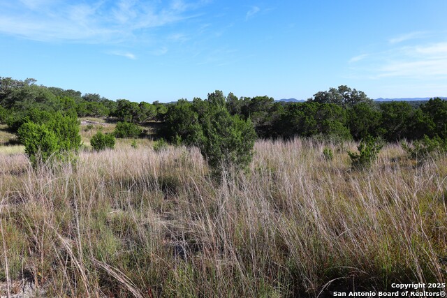 Image 12 of 42 For Lot 418 Palomino Springs