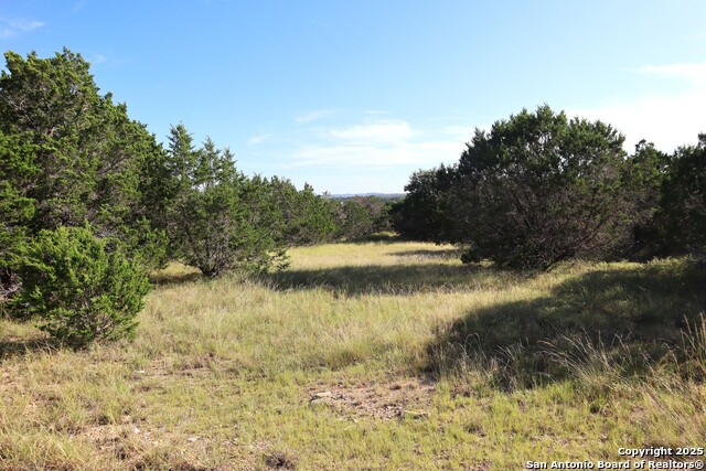 Image 13 of 42 For Lot 418 Palomino Springs