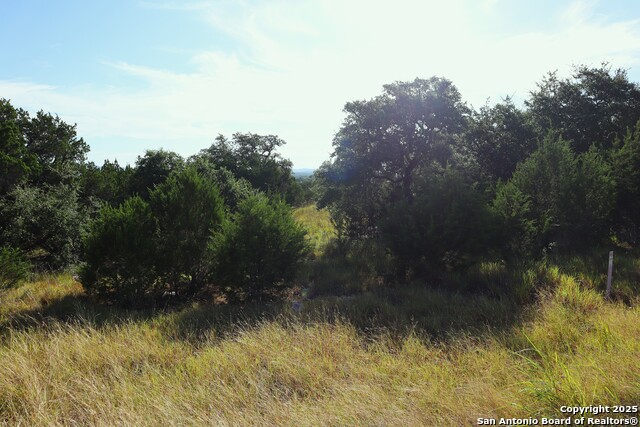 Image 8 of 42 For Lot 418 Palomino Springs