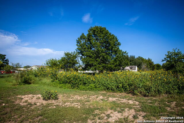 Image 9 of 15 For 308 Alysia  