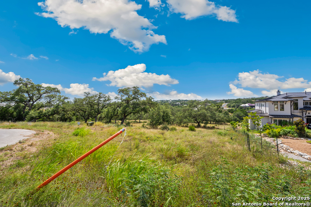 Image 10 of 25 For 428 Cavy