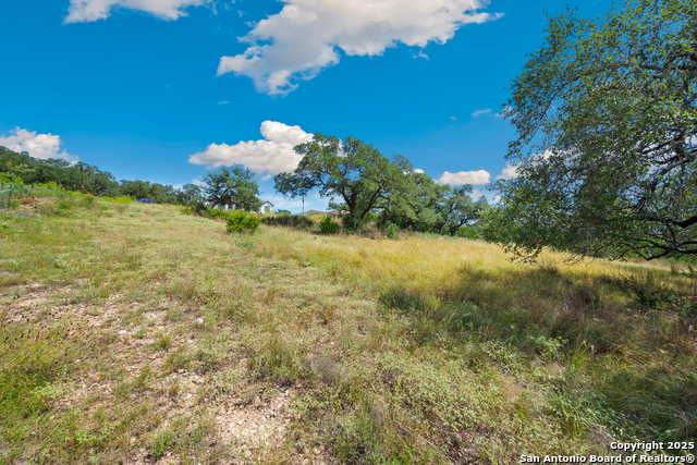 Image 11 of 25 For 428 Cavy