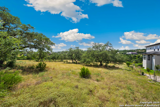 Image 12 of 25 For 428 Cavy