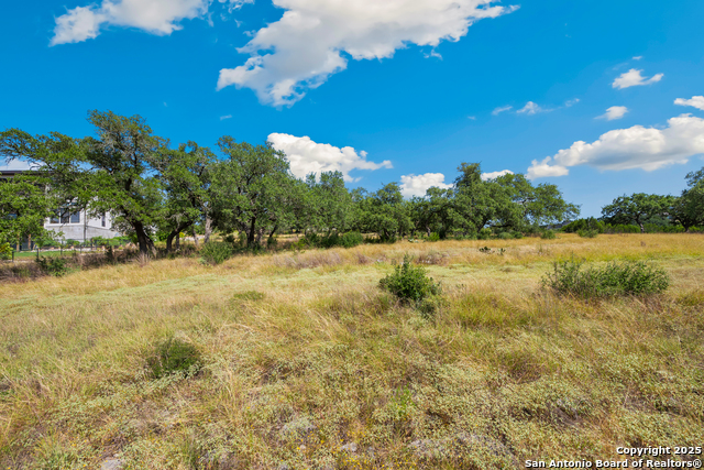 Image 13 of 25 For 428 Cavy