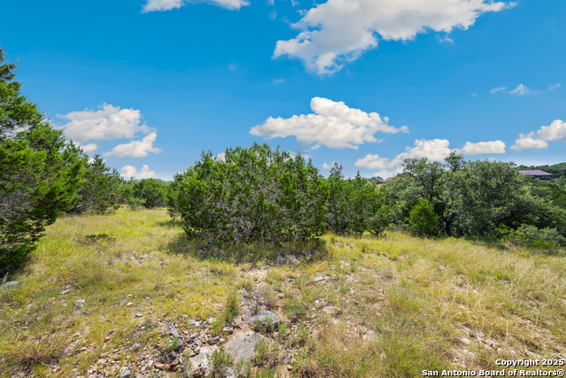 Image 14 of 25 For 428 Cavy