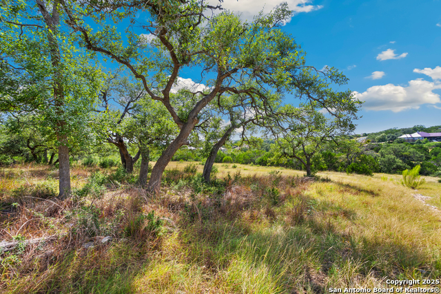 Image 15 of 25 For 428 Cavy