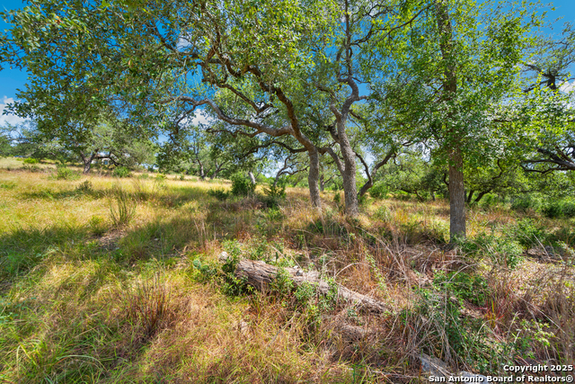 Image 16 of 25 For 428 Cavy