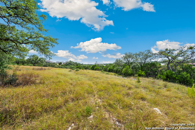 Image 6 of 25 For 428 Cavy