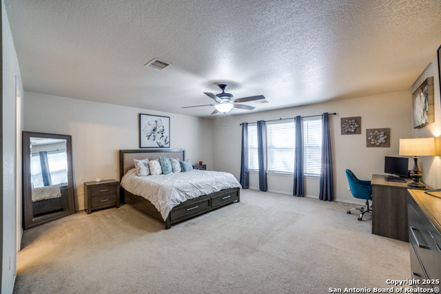 Listing photo id 13 for 10323 Medio Creek