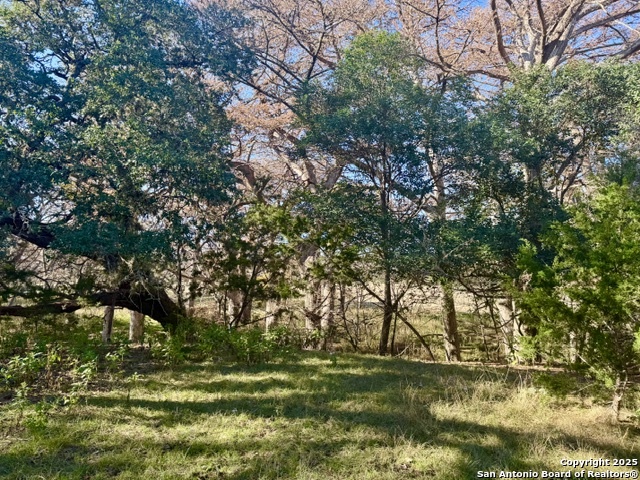Details for 140 Spring Branch Dr., Leakey, TX 78873
