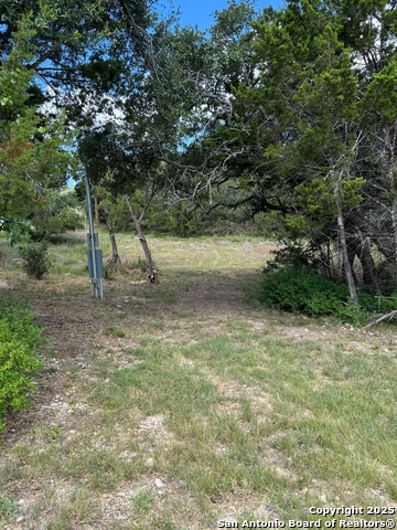 Image 2 of 23 For 1361 Yaupon