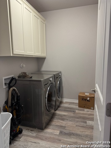 Image 21 of 23 For 1361 Yaupon