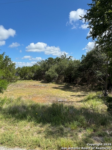 Image 3 of 23 For 1361 Yaupon