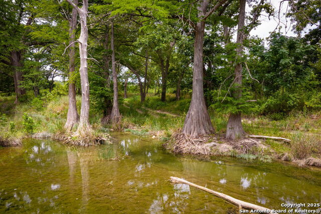 Image 45 of 50 For 2170 Sierra Madre
