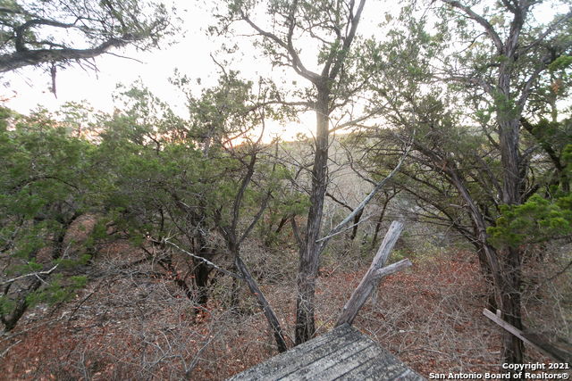 Listing photo id 7 for 186 County Road 2709