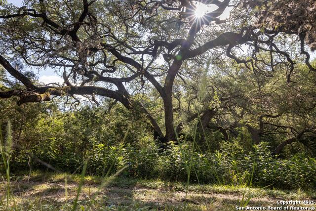 Details for 7622 Ramble  , San Antonio, TX 78266