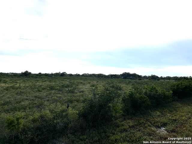 Image 10 of 23 For Tbd Hackberry Dr (tr 56 Oak Motts