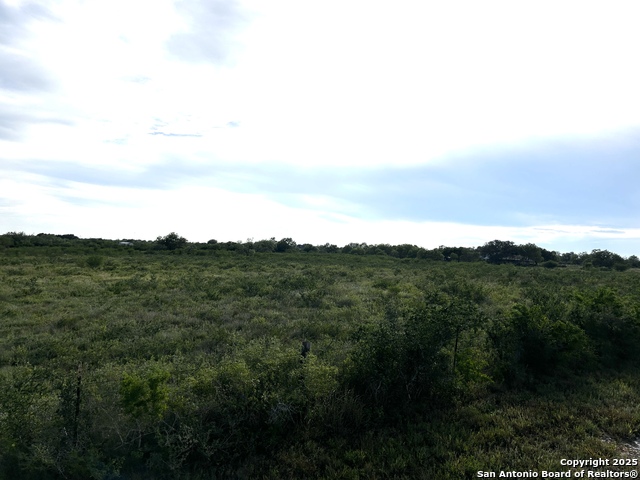 Image 11 of 23 For Tbd Hackberry Dr (tr 56 Oak Motts