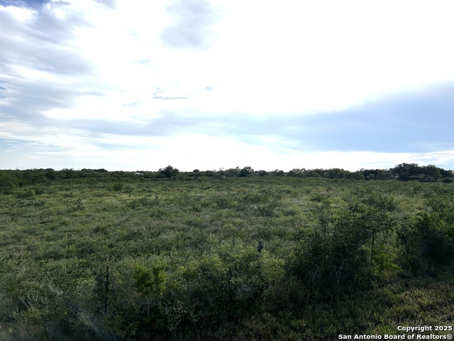 Image 13 of 23 For Tbd Hackberry Dr (tr 56 Oak Motts