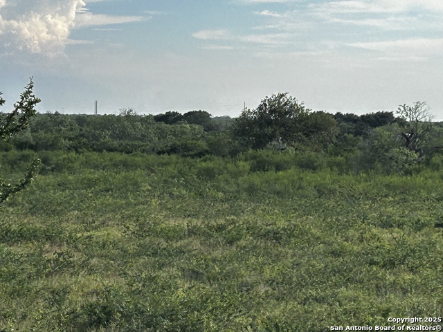 Image 15 of 23 For Tbd Hackberry Dr (tr 56 Oak Motts