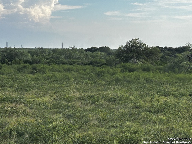 Image 16 of 23 For Tbd Hackberry Dr (tr 56 Oak Motts