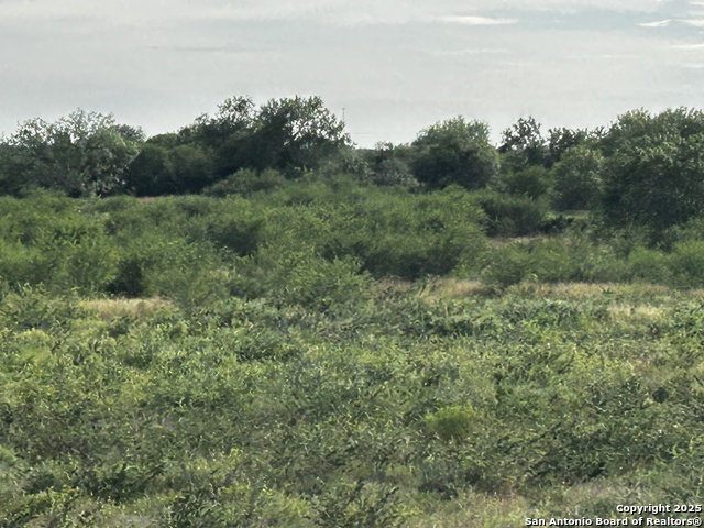 Image 17 of 23 For Tbd Hackberry Dr (tr 56 Oak Motts