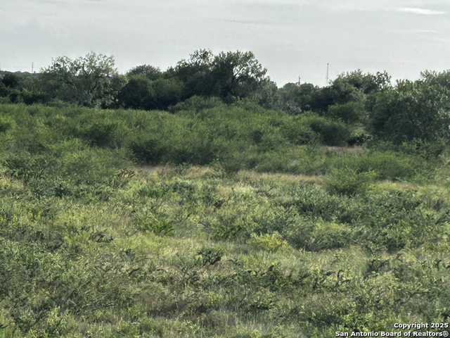 Image 18 of 23 For Tbd Hackberry Dr (tr 56 Oak Motts