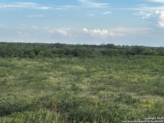 Image 19 of 23 For Tbd Hackberry Dr (tr 56 Oak Motts