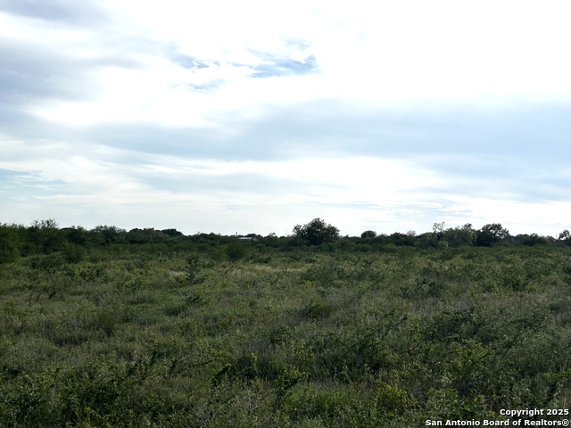 Image 2 of 23 For Tbd Hackberry Dr (tr 56 Oak Motts