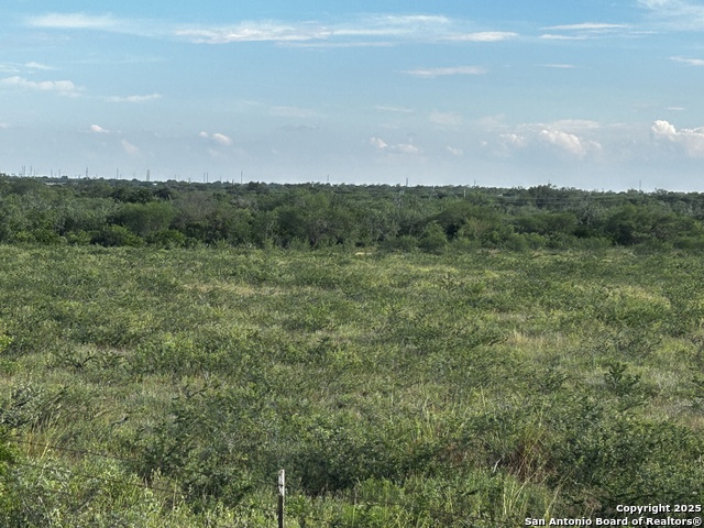 Image 20 of 23 For Tbd Hackberry Dr (tr 56 Oak Motts