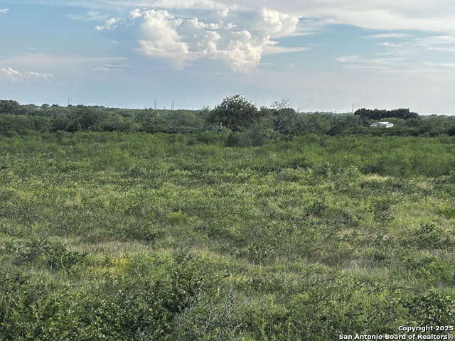 Image 21 of 23 For Tbd Hackberry Dr (tr 56 Oak Motts