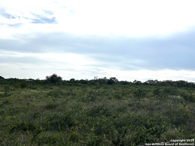 Image 3 of 23 For Tbd Hackberry Dr (tr 56 Oak Motts