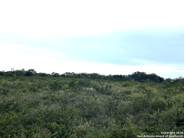 Image 4 of 23 For Tbd Hackberry Dr (tr 56 Oak Motts