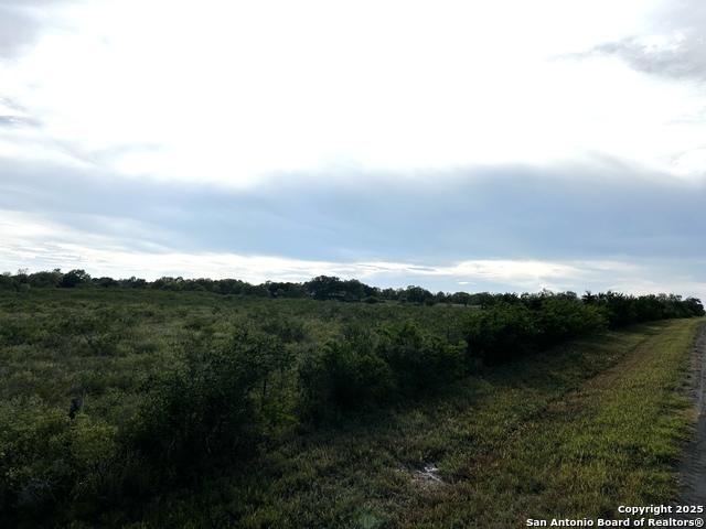 Image 5 of 23 For Tbd Hackberry Dr (tr 56 Oak Motts