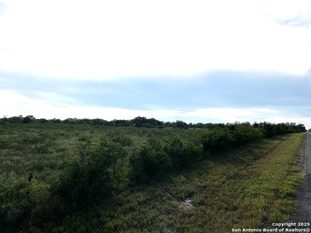 Image 8 of 23 For Tbd Hackberry Dr (tr 56 Oak Motts