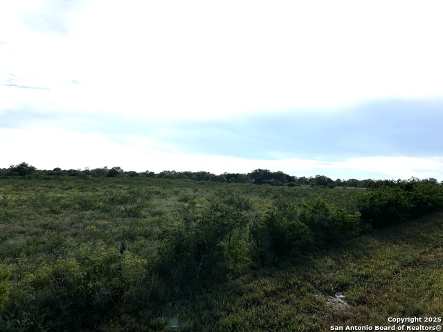 Image 9 of 23 For Tbd Hackberry Dr (tr 56 Oak Motts